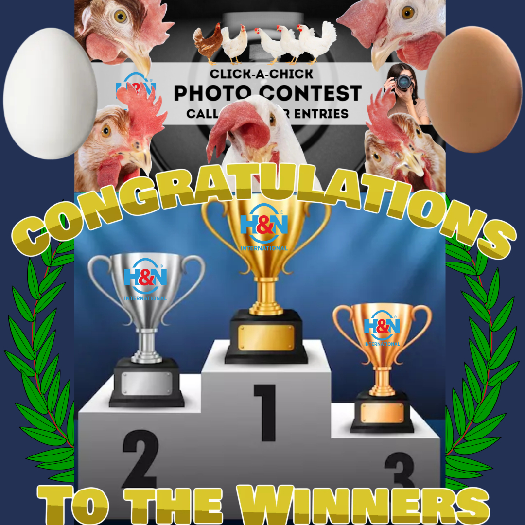 |brown nick||H&N winner|Winner